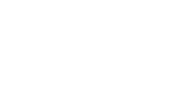 Pleyade logo wit